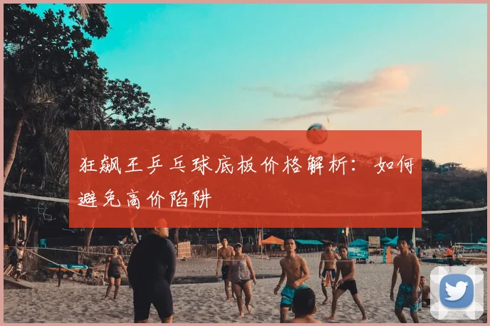 狂飙王乒乓球底板价格解析：如何避免高价陷阱