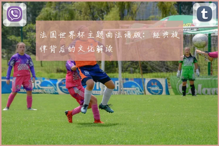 法国世界杯主题曲法语版：经典旋律背后的文化解读