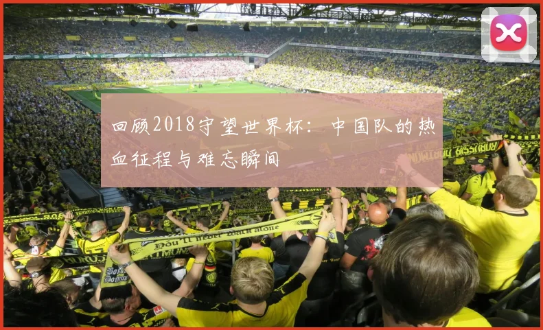 回顾2018守望世界杯：中国队的热血征程与难忘瞬间