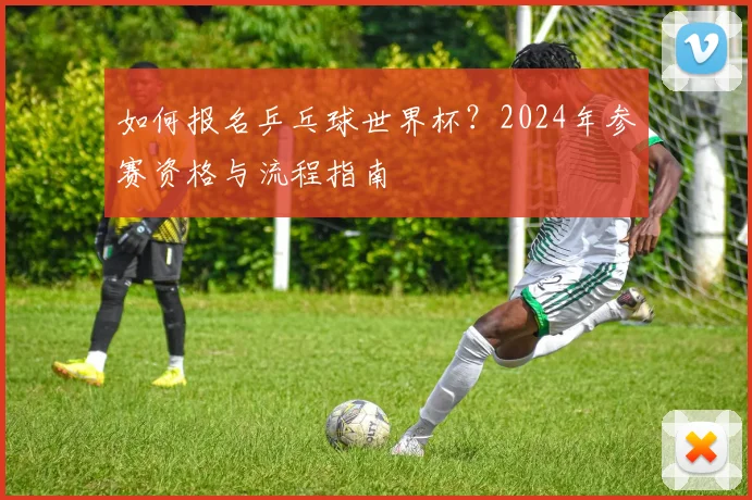 如何报名乒乓球世界杯？2024年参赛资格与流程指南