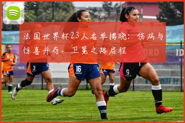 法国世界杯23人名单揭晓：伤病与惊喜并存，卫冕之路启程