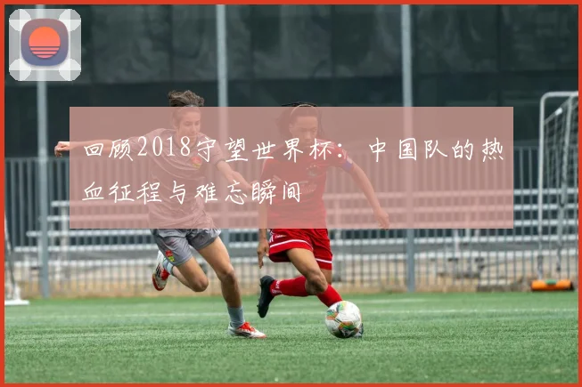 回顾2018守望世界杯：中国队的热血征程与难忘瞬间