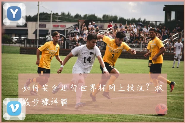 如何安全进行世界杯网上投注？权威步骤详解
