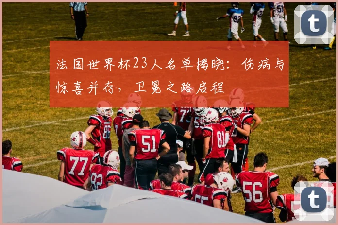 法国世界杯23人名单揭晓：伤病与惊喜并存，卫冕之路启程