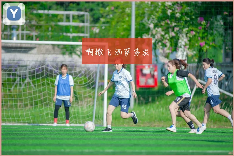 丹麦世界杯最好成绩解析：从黑马到强队的征程