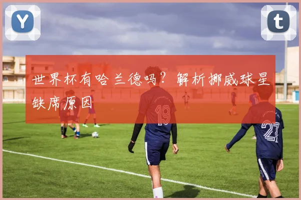 世界杯有哈兰德吗？解析挪威球星缺席原因